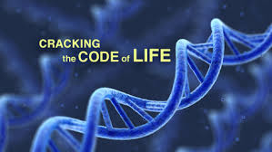 Watch popular content from the following creators: Nova Official Website Cracking The Code Of Life