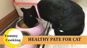 Homemade Cat Food Make Pate For Cats Yummy Cooking Homemade Cat Food Homemade Cat Diy Cat Food