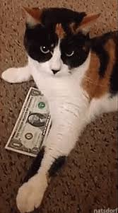 We did not find results for: Money Cats Album On Imgur