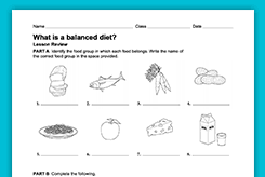 Third grade (grade 3) diet and nutrition questions for your custom printable tests and worksheets. Health Nutrition Lesson Plans Worksheets Activities Teachervision