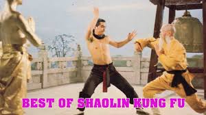 Rza, along with his brother mitchell divine diggs, oliver power. Wu Tang Collection Best Of Shaolin Kung Fu Youtube