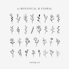 Black And White Floral Pattern Png Botanical Floral Black White Clipart Bundle Set Png Flowers Etsy Simple Flower Tattoo Small Flower Tattoos Plant Tattoo