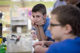 Students Go On Ag-Venture At Lacey Spring