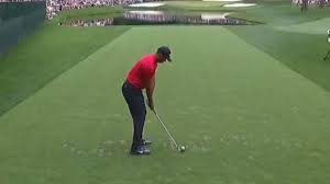 His 15 pro majors and 81 career pga tournament victories place him amongst the greatest golfers and greatest athletes ever. What Is Tiger Woods Net Worth Sponsorships Golf Cheating Scandal 9celebrity