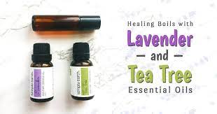 How To Heal Boils With Lavender And Tea Tree Oils Simply Earth Blog Recipe Tea Tree Essential Oil Essential Oil For Boils Essential Oils
