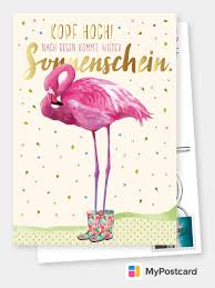 Kopf Hoch Gute Besserung Karten Spruche Echte Postkarten Online Versenden