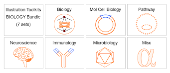 We did not find results for: Biology Cell Organelles Illustrations For Presentations And Publications