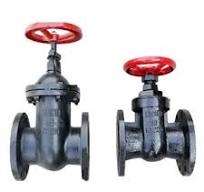 Gray Cast Iron Gate Valve, HT200, DN100, Non-rising Stem, RF ...