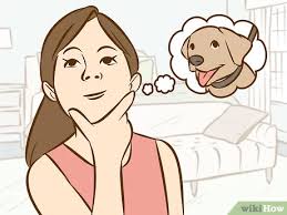 Jul 16, 2021 · hint for kids: 3 Ways To Persuade Your Parents To Get A Dog Wikihow