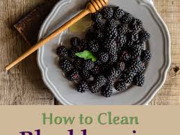 How To Wash And Clean Blackberries After Picking Delishably