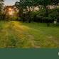 Nature Immersion & Mental Health Workshop at Bunny event image