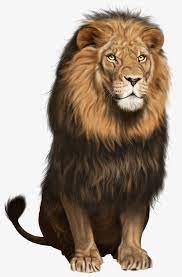 Mighty Ferocious Lion Sitting Png And Clipart Lion Images Lion Background Animal Wallpaper