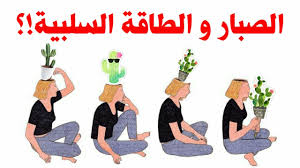 هل الصبار يجلب الطاقة السلبية Youtube