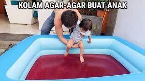 Bukan tanpa alasan kenapa ada banyak orang yang tertarik untuk mempunyai binatang bertempurung ini. Buat Agar Agar Sebesar Kolam Buat Grace Surprise Youtube