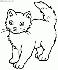 Dibujos De Gatos Para Colorear
