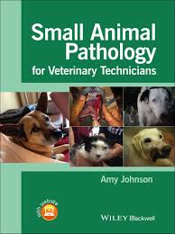 Small Animal Pathology For Veterinary Technicians Ebook Veterinary Technician Small Pets Veterinary