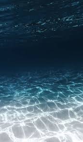 cebu to bohol ferry cost and schedule 21 22 underwater images ocean wallpaper ocean aesthetic