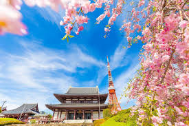 Berikut ini adalah beberapa gambar batik bunga sakura. Edisi 2018 15 Tempat Bunga Sakura Terbaik Di Tokyo Zekkei Japan