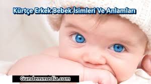 Kurtce Bebek Isimleri F Harfi Ile Baslayan Kurtce Isimler Ve Anlamlari Baby Months 6 Months