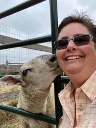 Mini Horse & Mini Donkey Gallery