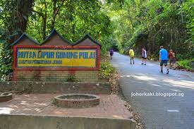 Jalan yang berjalan melalui kampung ini membawa sepanjang jalan ke pintu masuk hutan lipur yang telah lama ditutup selepas maut tanah runtuh berlaku ada beberapa 10 tahun yang lalu dan mengambil beberapa nyawa. Trekking At Hutan Lipur Gunung Pulai Recreational Forest In Johor Malaysia Johor Kaki Travels For Food