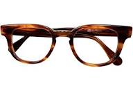 1960s-70s Made in USA Regency Eyewear (TART OPTICAL 2nd line ...