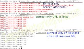 Maybe you would like to learn more about one of these? Use Extended Regular Expressions With Grep Command