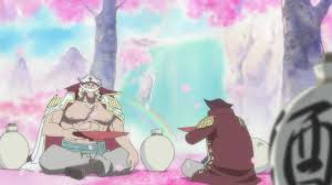 Our site will help you easily do this by spending a minimum of your time. Gol D Roger One Piece Wiki Fandom