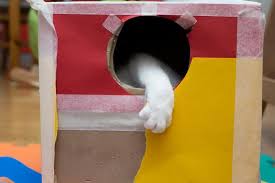 Tuto Comment Faire Une Maison Pour Chat Soi Meme Maison Chat Chat Deco Fr