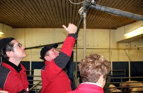 Schweinehalter reden Klartext :: Landesbauernverband in Baden-Württemberg  e.V.