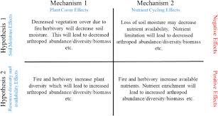 The college was founded by oren burbank cheney and benjamin bates. Fire And Herbivory Shape Soil Arthropod Communities Through Habitat Heterogeneity And Nutrient Cycling In Savannas Sciencedirect