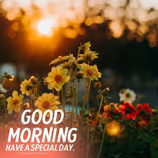 The.gov means it's official.federal government websites often end in.gov or.mil. 200 Good Morning Images Hd Pictures Photos With Wishes