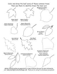 Basic Outlines Of Common Leaves For Tree Identification Great For Our After School Walks Homeschool Nature Study Tree Study Tree Identification