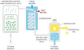 What Is Example Of Steam Distillation? - Quora