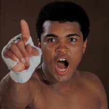 White American Boxing Champions , White Wholesale Box And Block Box Testing