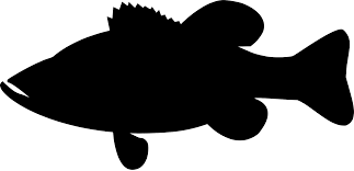 Download Svg Fish Bass Base Free Svg Image Icon Svg Silh