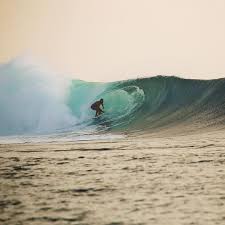 Pin By Georgia On Surf In 2020 Surfing Blue Whale Travel