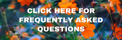 Depending on their expertise, more conventional therapies. Contact Us American Herbalists Guild
