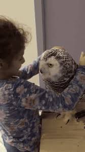 Birds With Human Arms Gif Https Encrypted Tbn0 Gstatic Com Images Q Tbn 3aand9gcts6j5resx7mnpqfo0qwouglfv50eyvy80xlw Usqp Cau