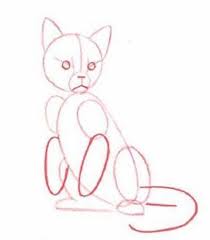 How To Draw Cat Step By Step Drawings Cat Steps Cute Drawings