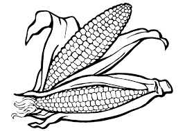 Corn on the cob clip. Corn Cob Coloring Page Coloring Home