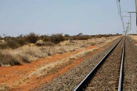 Image result for Trichoneura schlechteri