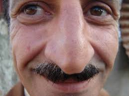 Jak se dá vydělat na hlouposti jiných