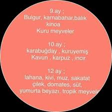 9 10 12ay beslenmesi bebek yemek tarifleri mama tarifleri gida
