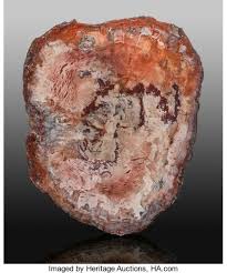 Petrified wood found in the petrified forest began during the triassic period around 180,000,000 years ago. Petrified Wood Australian Gold Nugget Gemstones And Meteorites Highlight Heritage Auctions Sale Alain R Truong