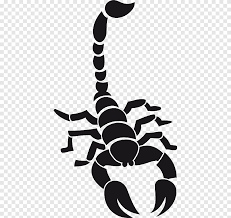 Apakah anda mencari gambar kalajengking png? Akrep Png Images Pngegg