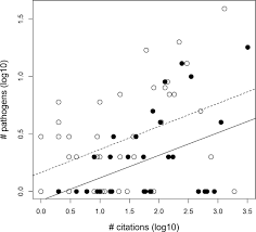 Image result for Hermbstaedtia linearis