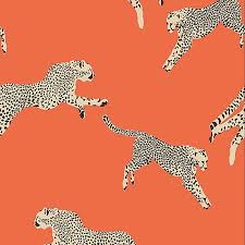 Cheetah in a tree 2. Scalamandre Leaping Cheetah Clementine Wallpaper 40 Off Samples