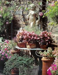 Check spelling or type a new query. How To Decorate The Patio With Plants