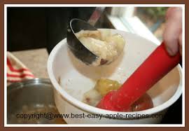 The stainless steel screen effortlessly separates the skins and seeds from the fresh pulp. Applesauce Recipe Using A Victorio Strainer Can Freezing Applesauce